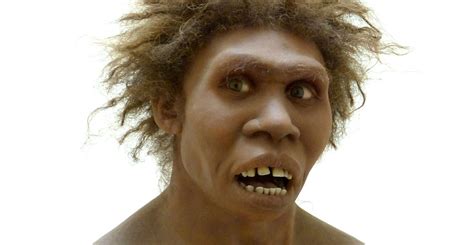 Homo erectus mascot